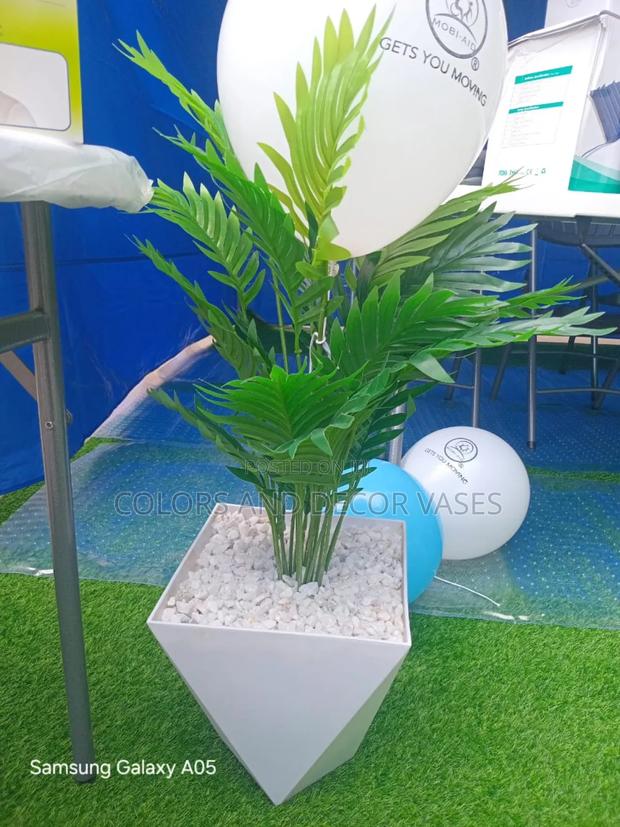 Palm With Beautiful Vase and Pebble Stones