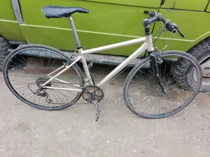 Giant Road Bike