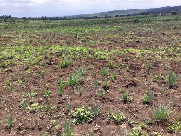 Land for Sale in Gilgil Diatomite - thumbnail 9