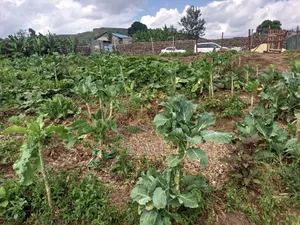Land for Sale in Gilgil Diatomite