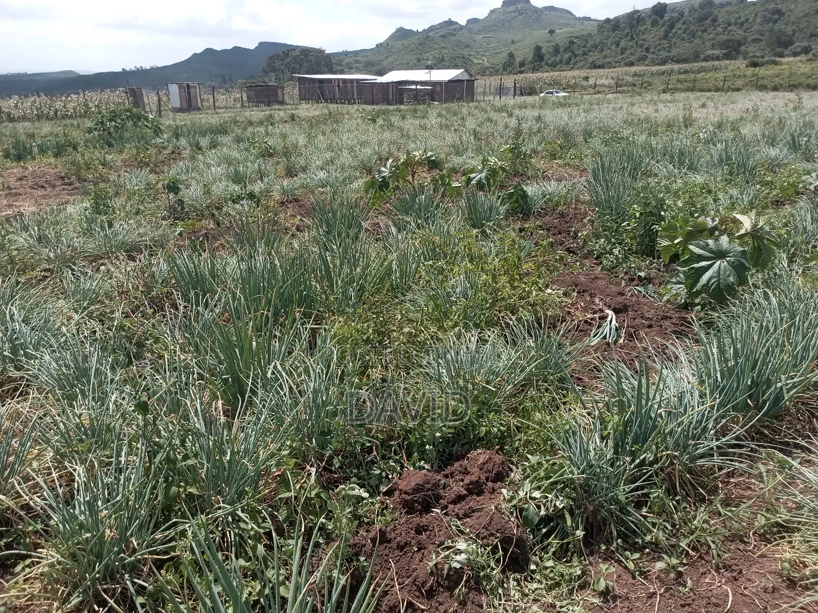 Land for Sale in Gilgil Diatomite