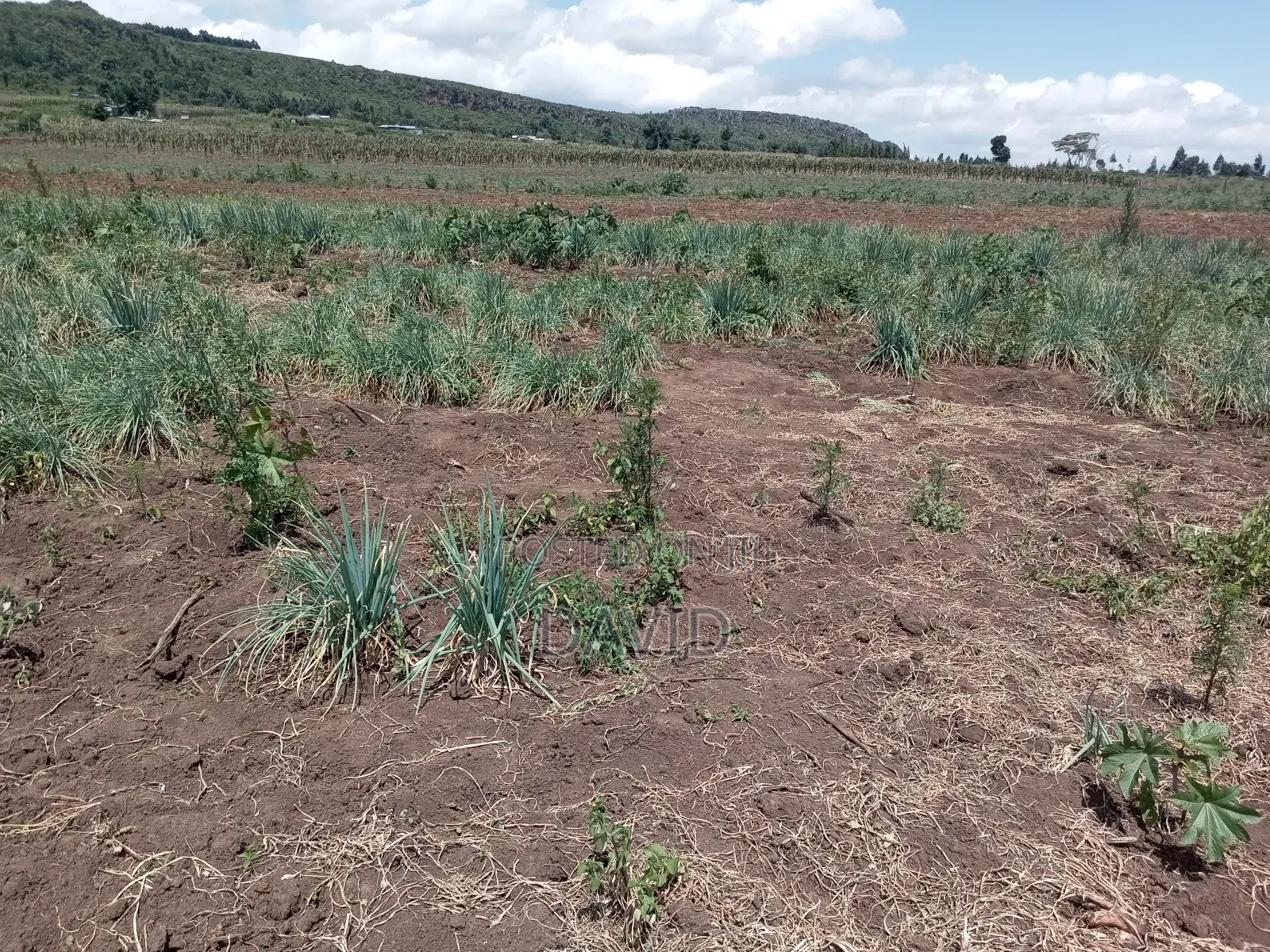 Land for Sale in Gilgil Diatomite