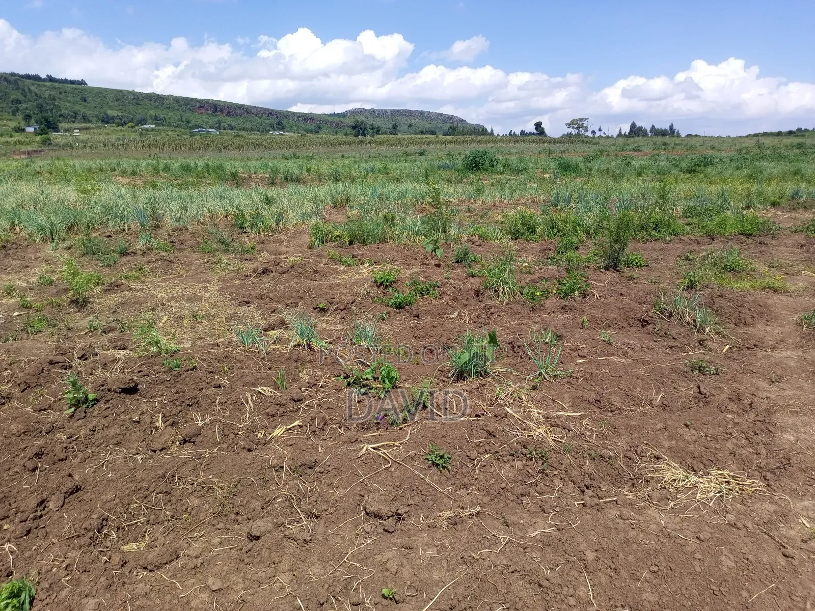 Land for Sale in Gilgil Diatomite