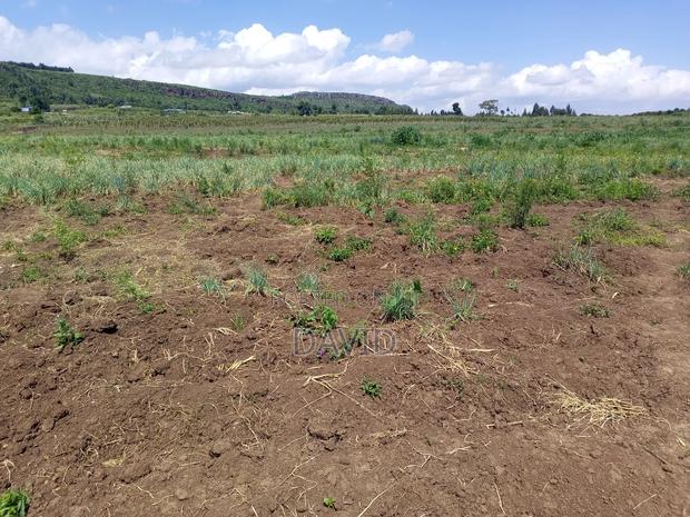 Land for Sale in Gilgil Diatomite - thumbnail 13