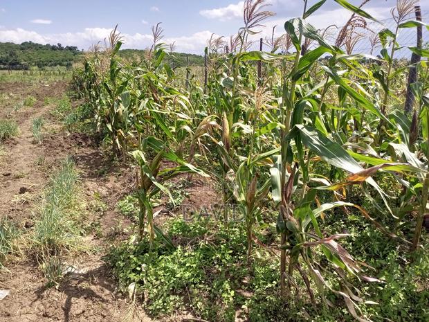 Land for Sale in Gilgil Diatomite - thumbnail 3