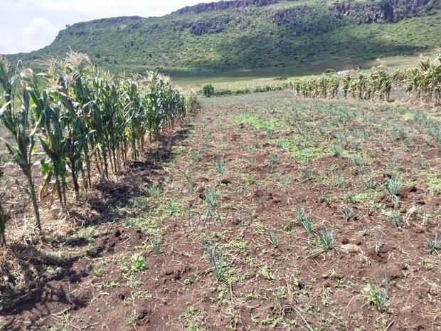 Land for Sale in Gilgil Diatomite - thumbnail 2