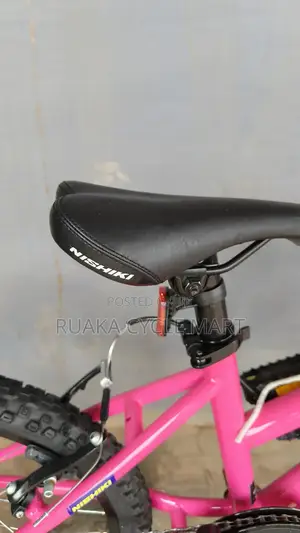 Ex USA Mountain Bike Size 20