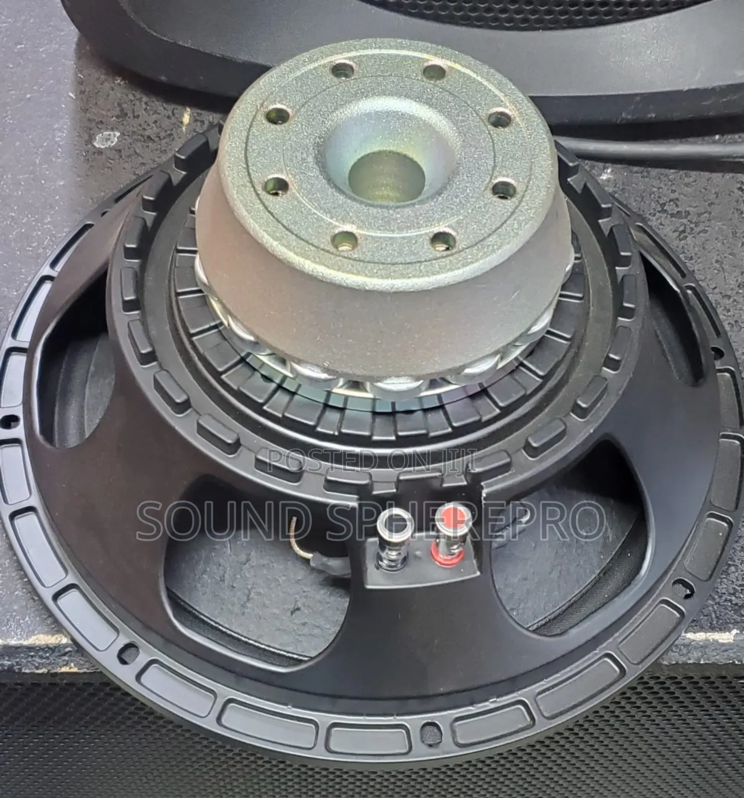 Neodymium 12 Inch Bass Speaker