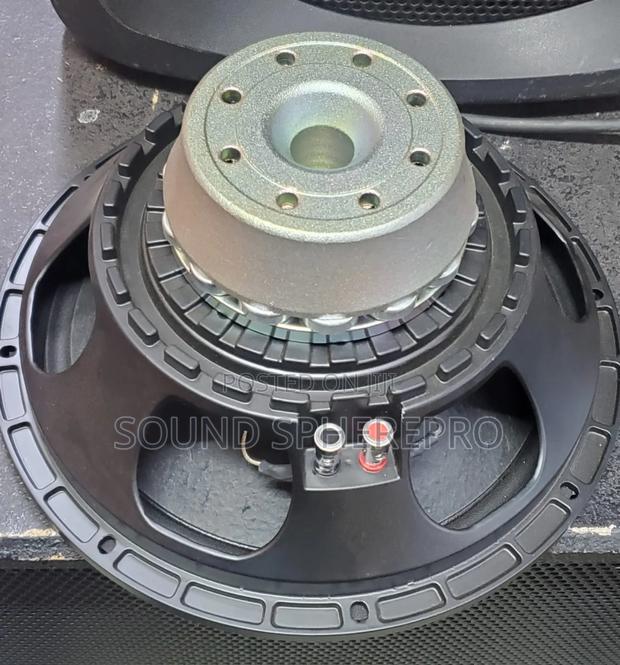 Neodymium 12 Inch Bass Speaker