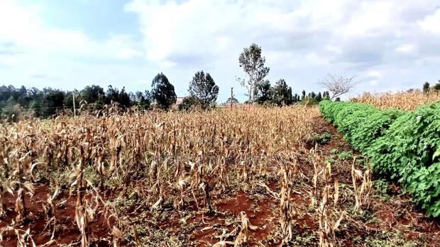 Residential One Acre for Sale - main view