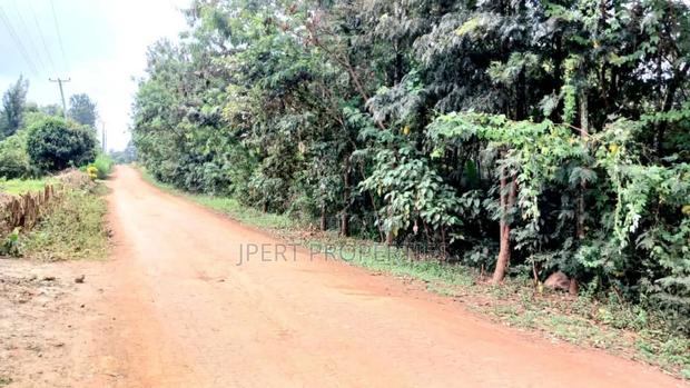 Residential One Acre for Sale - thumbnail 4