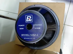 Bm Naked Speaker 12a-Z-2