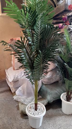 Palm Tree With Round Vase KSH . - thumbnail 2