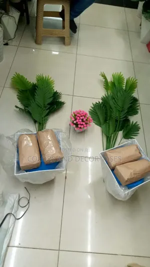 Plam Trees With Vases and Pebble Stones in Stock