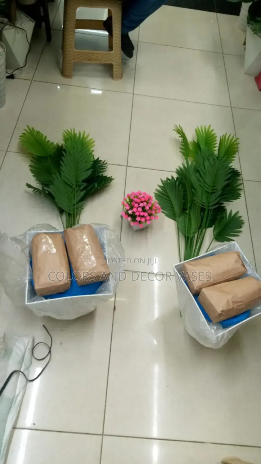 Plam Trees With Vases and Pebble Stones in Stock