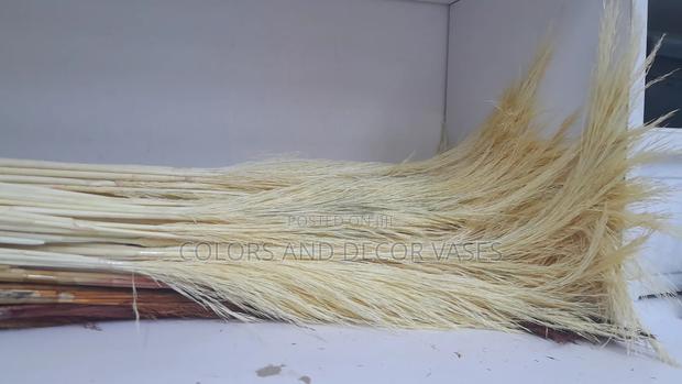 Creamish White Pampas KSH 150 a Bunch