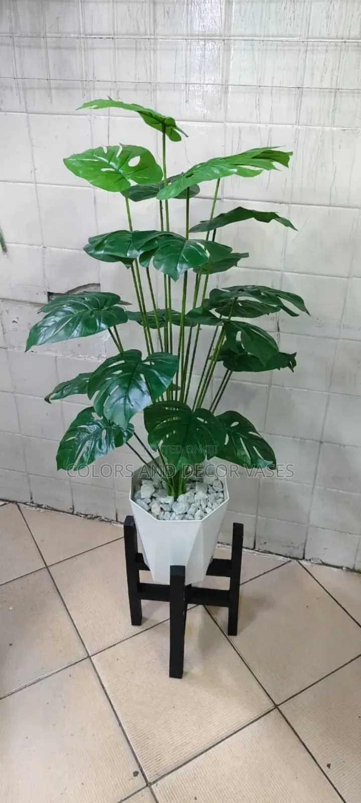 Monstera, Vase and Black Stand