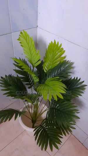 Palm Plant Vase and Plastic Vase Plus Stones White
