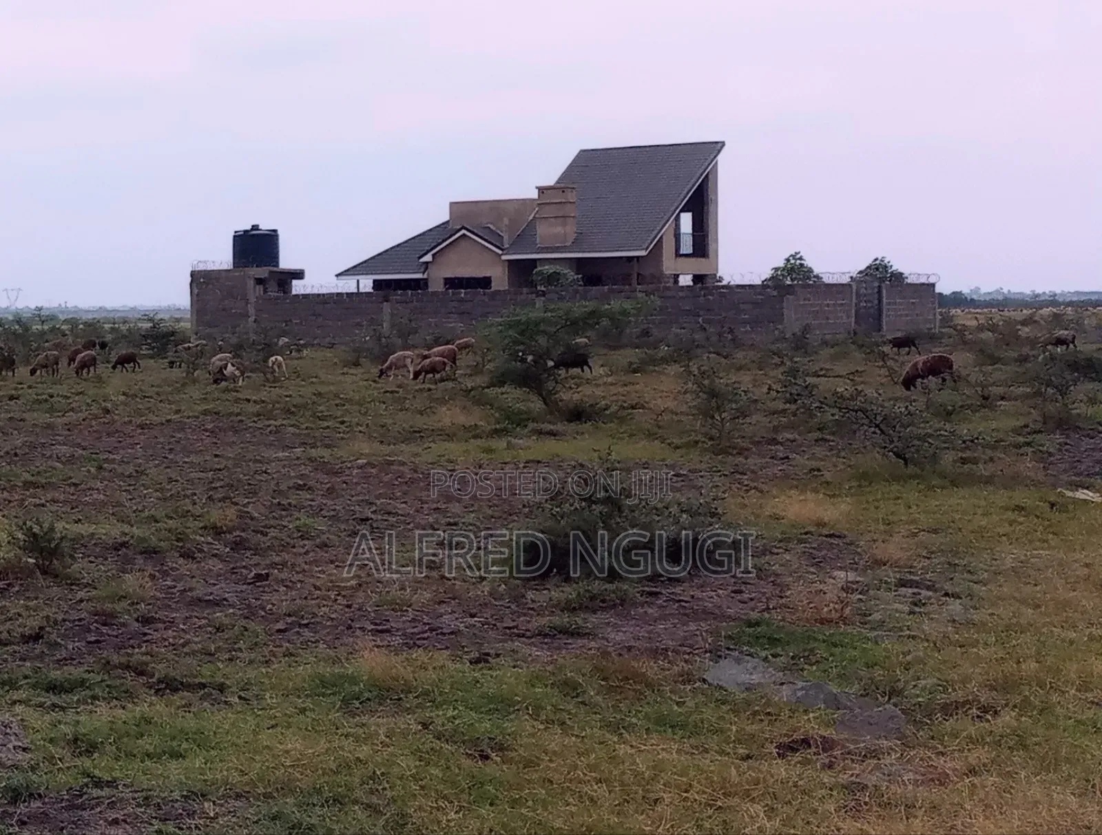 Mwalimu Farm Ruiru