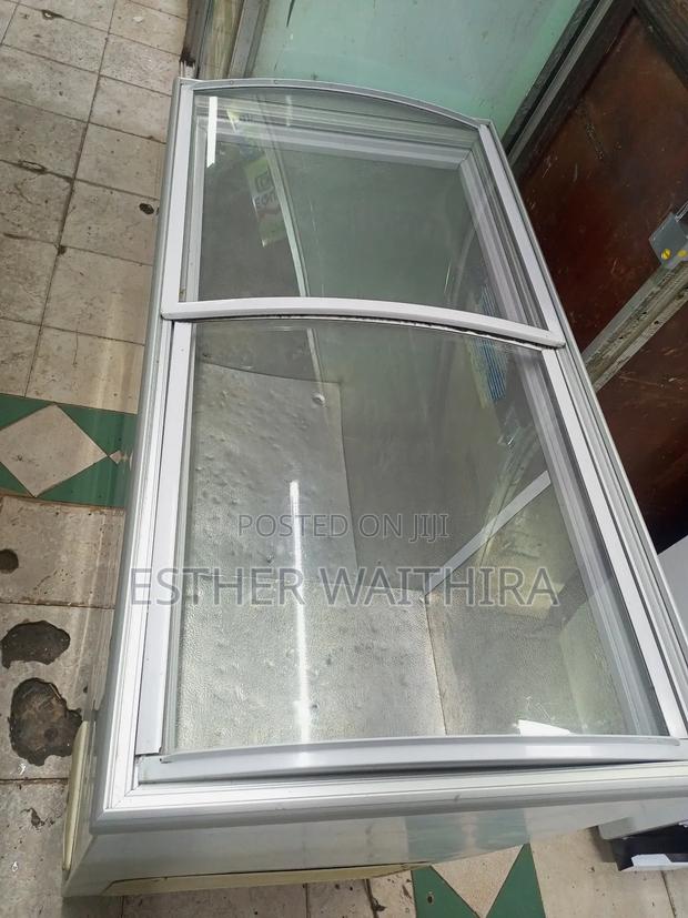 Display Freezer 300l