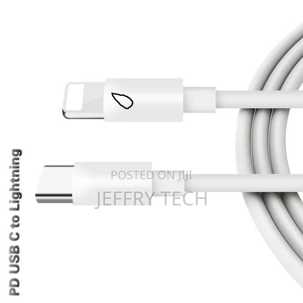 Apple USB Type C to Lightning Cable iPhone and Macbook