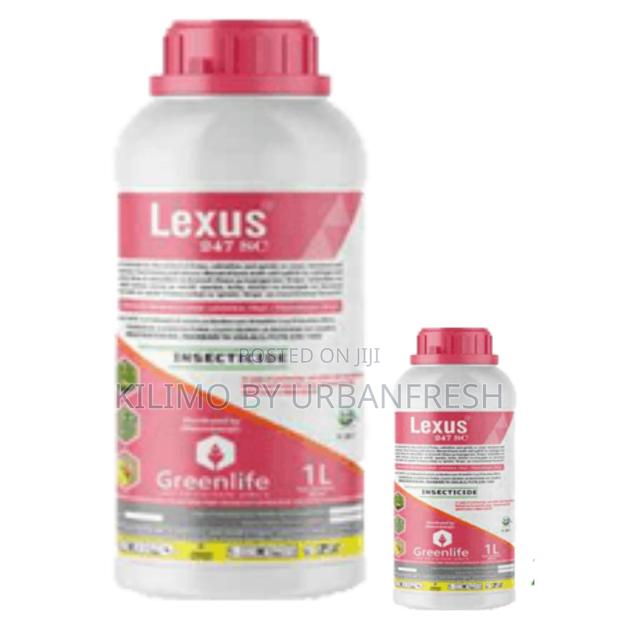 Lexus 247SC (100ml) - main view