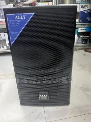 12inch Ally Audio AY 12inch - 600 Watts