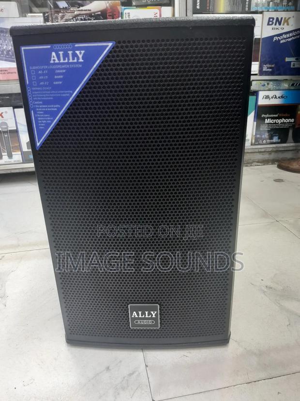 12inch Ally Audio AY 12inch - 600 Watts - main view