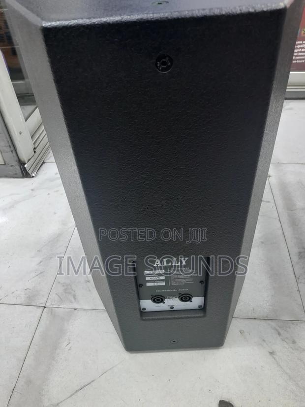 12inch Ally Audio AY 12inch - 600 Watts - thumbnail 2