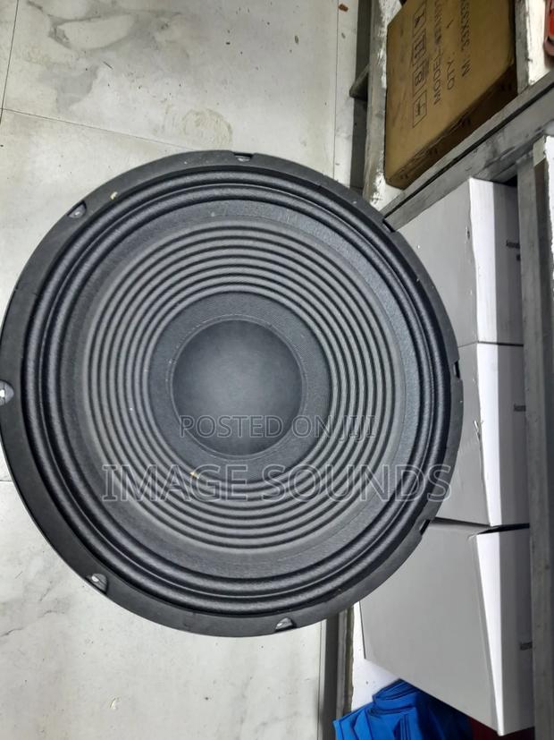 Midrange 12inch Gd Naked - thumbnail 3