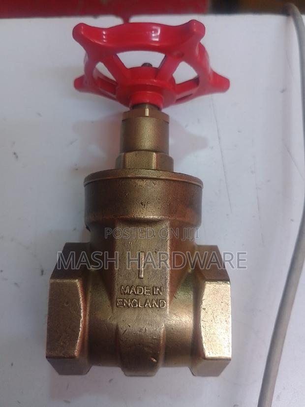 1" Gate Valve (Original Peg) - main view