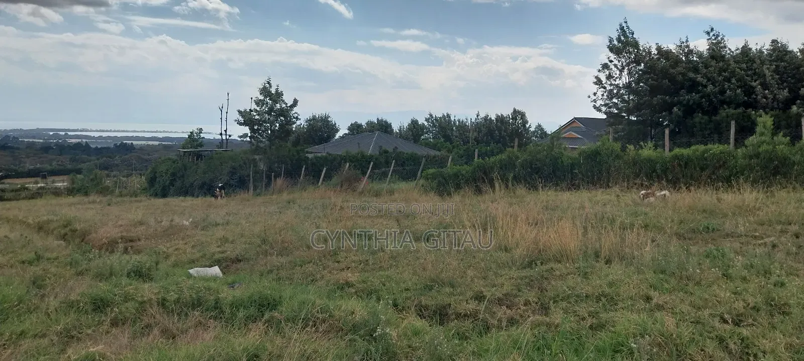 Crescent Villas in Lake View Land & Plots for Sale, Cynthia Gitau