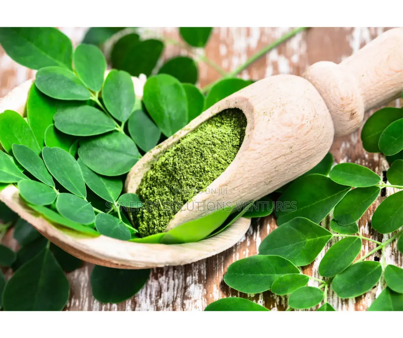 Moringa Olifiera