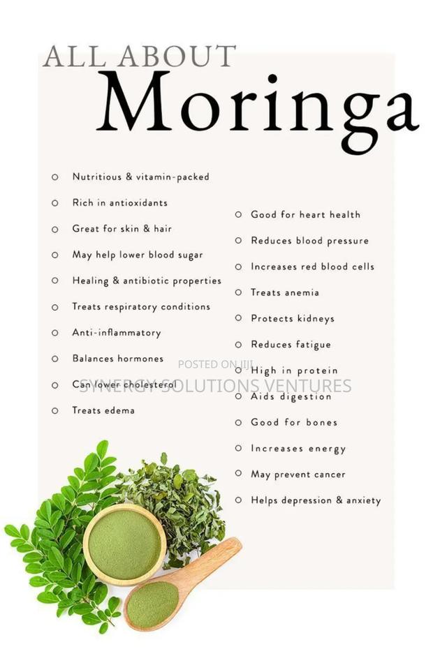 Moringa Olifiera - thumbnail 4