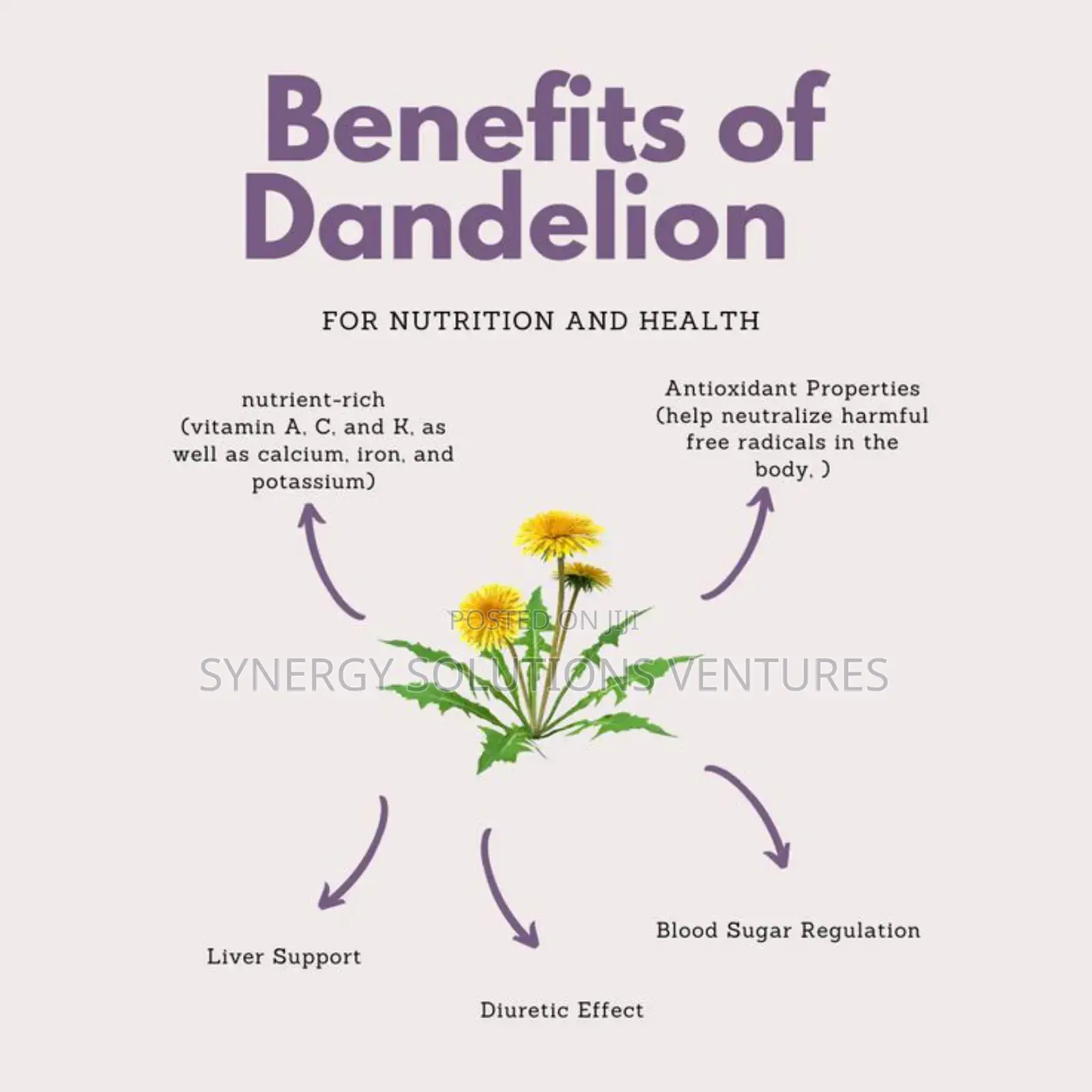 Dandelion Root