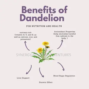 Dandelion Root