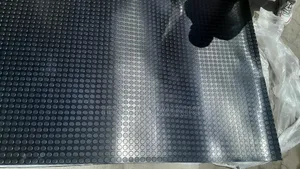 Anti Slip 3mm Black (Coin Stud Mat for Garage)
