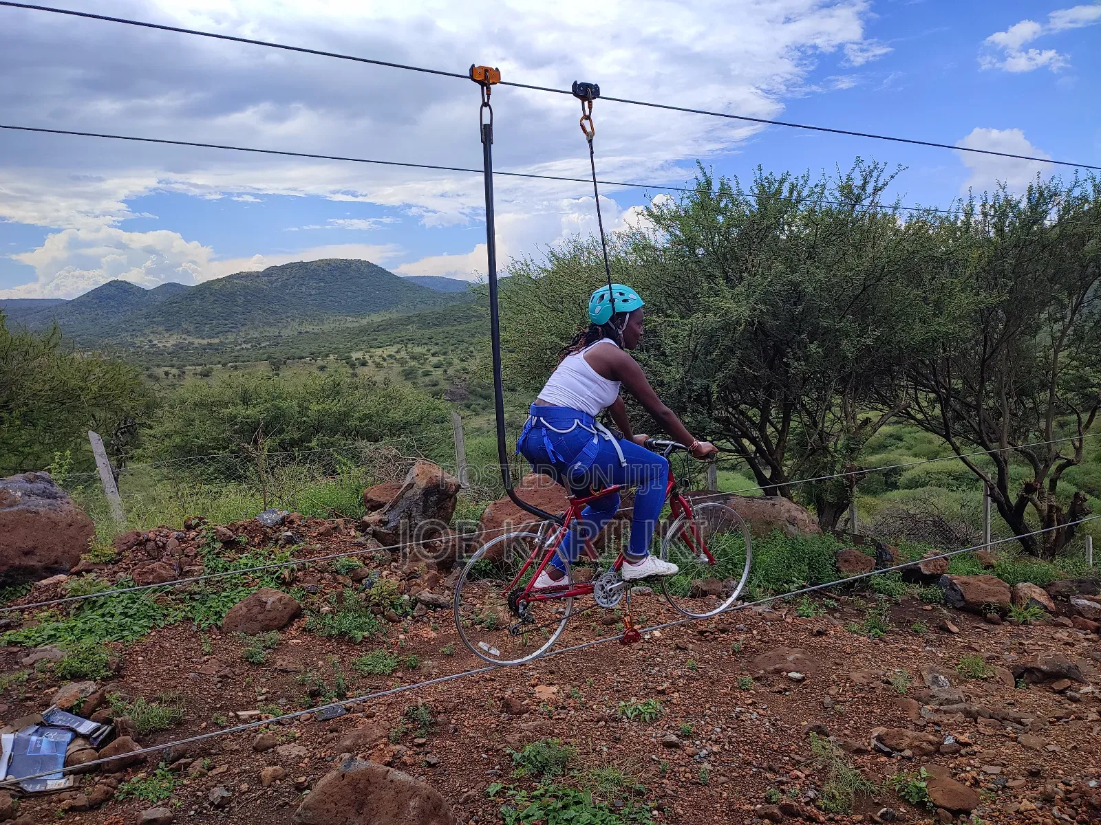 Zipline, Zip Line Proffessional Design and Construction