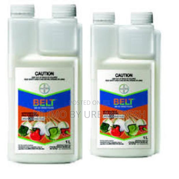 Belt R480 Sc 250ml - main view
