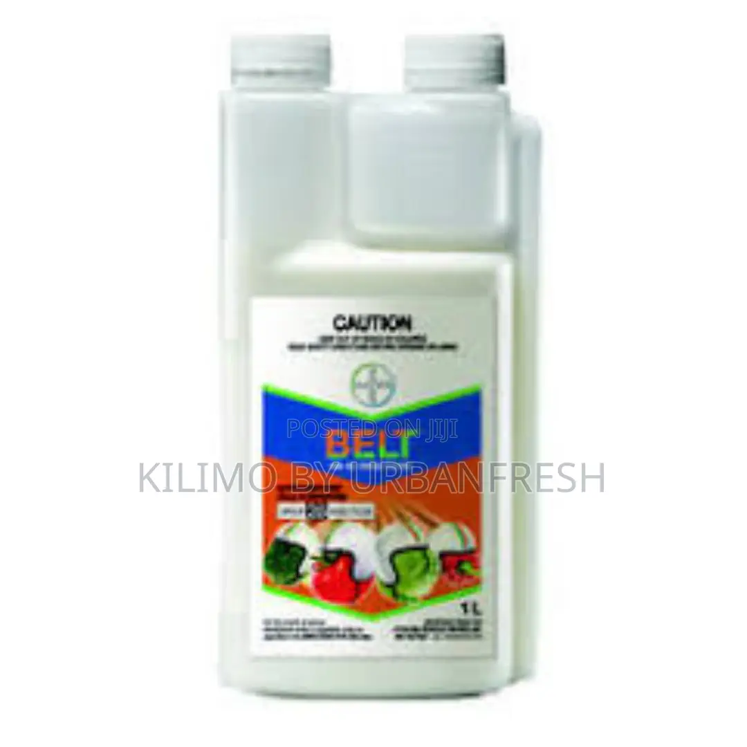 Belt R 480 Sc (50ml)
