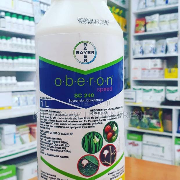 Oberon Speed 100 ML - main view