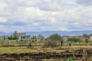 Residential Plots in Katani ^SM