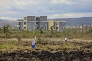 Katani Controlled Plots ^SM