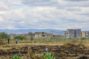 Katani Controlled Plots ^SM