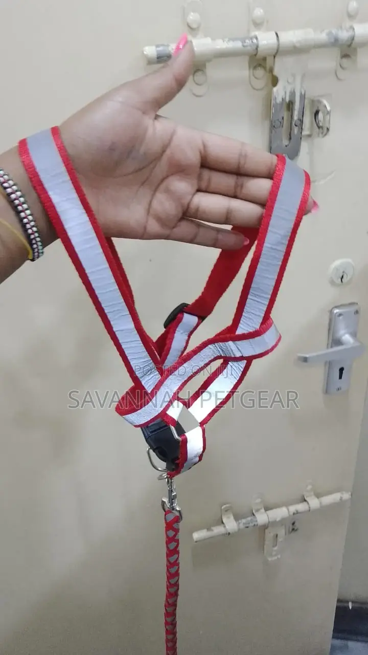 Dog Leash Collar Pet Leads Belt Rope Harness Chest Strap