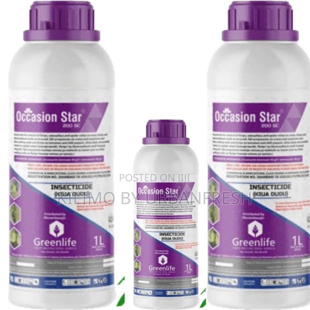 Occasion Starr 200 SC 1 LTR - main view
