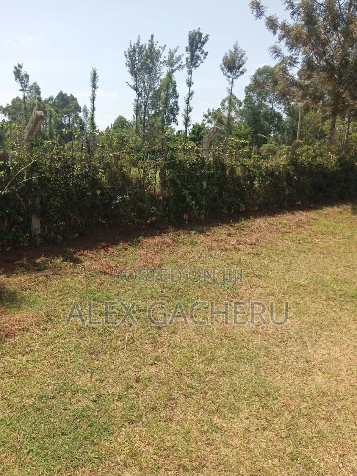 5 Acres Touching Tarmac
