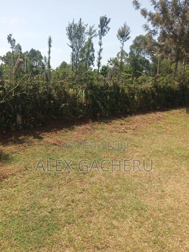 5 Acres Touching Tarmac - thumbnail 4