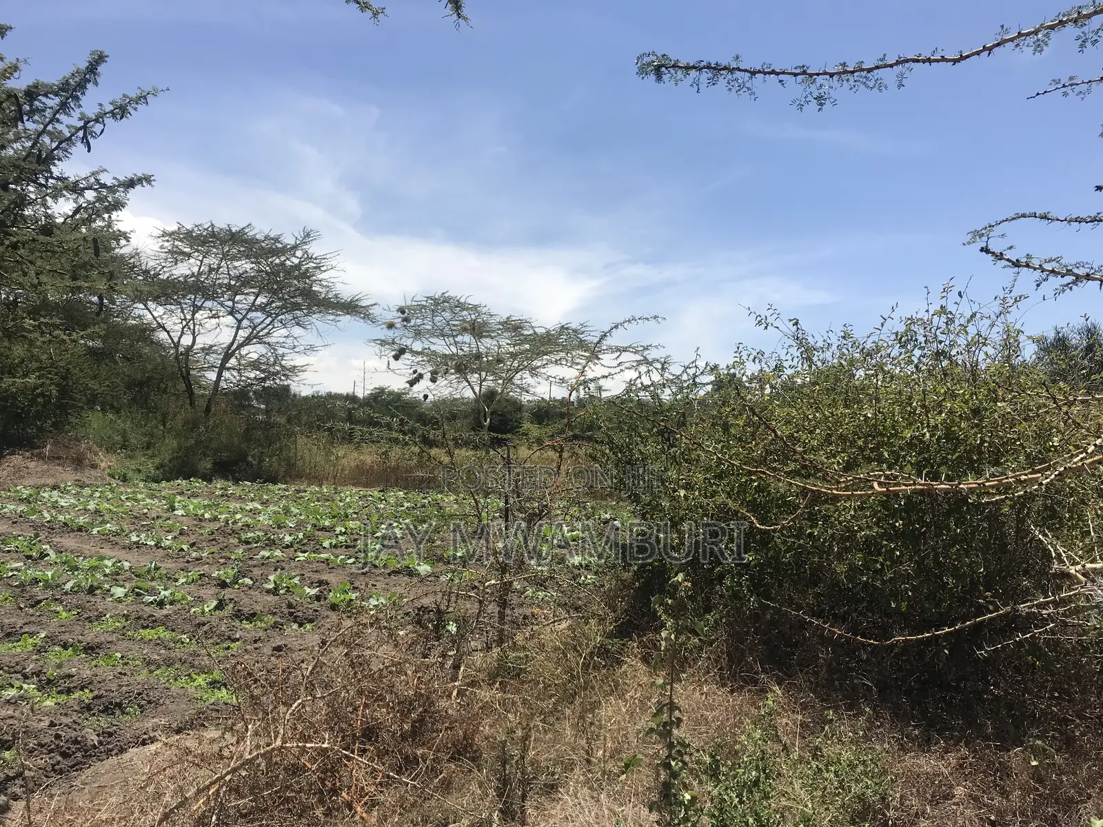 50 By100 Machakos Juction Chuvi