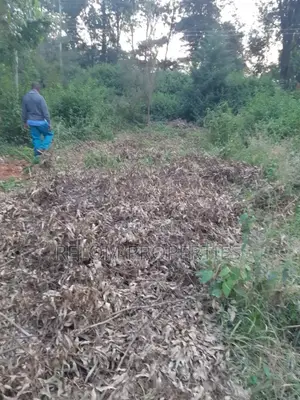 5 Acres of Prime Land for Commercial or Residential in Karen